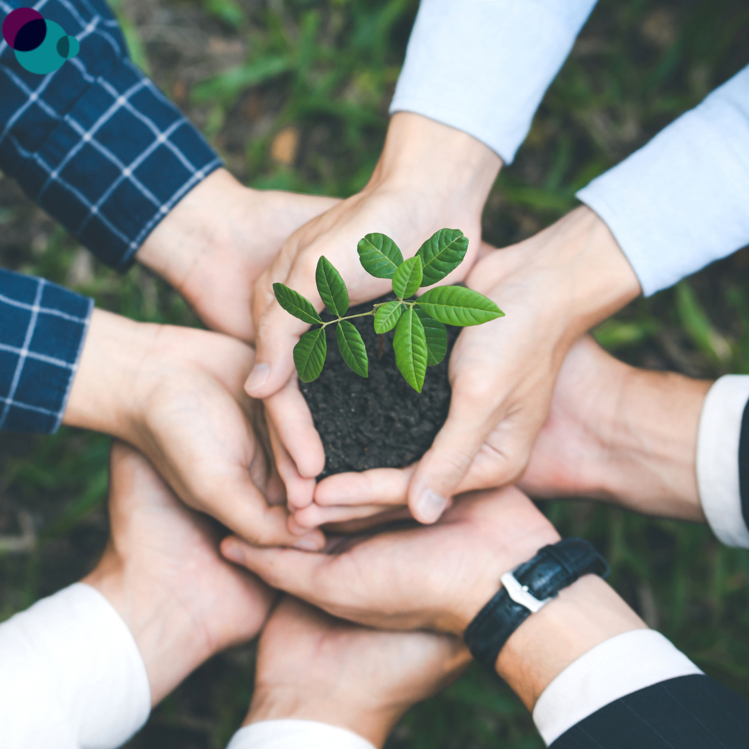 imagem do curso de Gestão Ambiental e Sustentabilidade